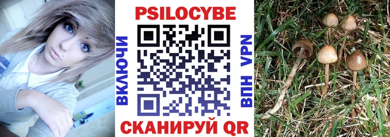 Галлюциногенные грибы Cubensis  Салехард 