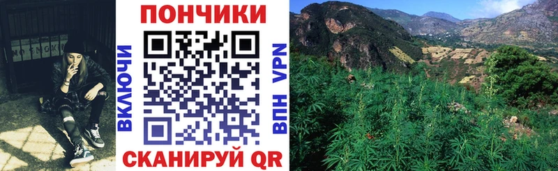 Бошки Шишки конопля  ссылка на мегу ссылка  Салехард 